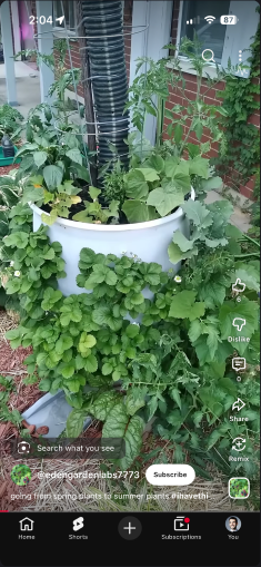 Image ID — tap Lens